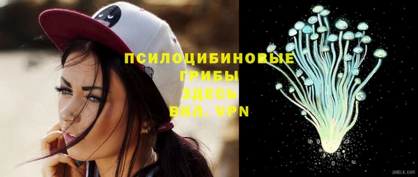 гидропоника Верея