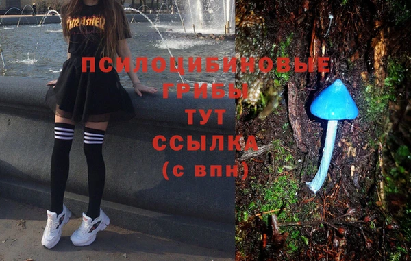 гидропоника Верея