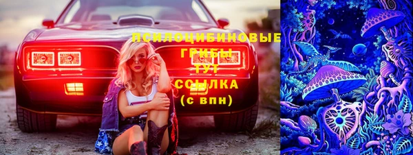 гидропоника Верея
