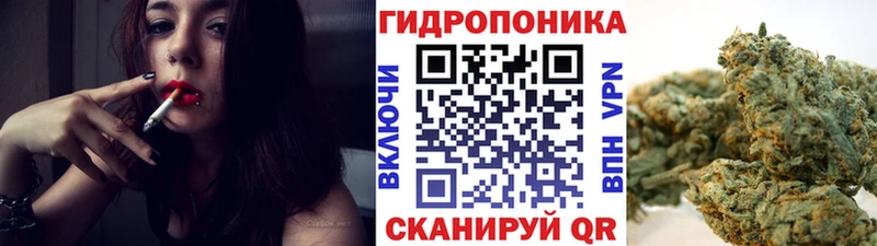 Бошки Шишки планчик  Северобайкальск 